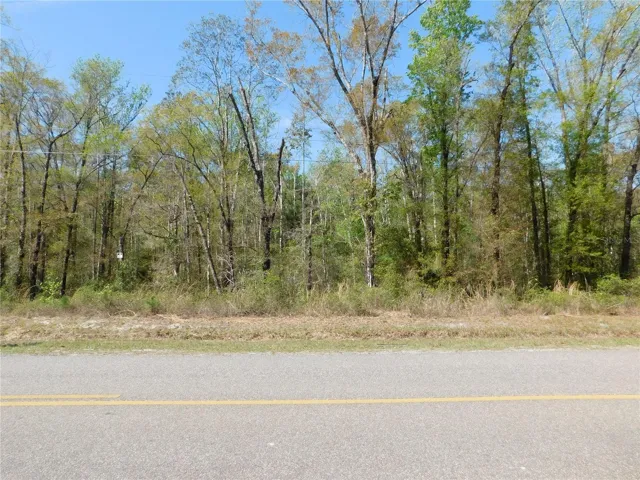 Front view of the 1.51 acre homesite. 136' frontage.  Lot dimensions: 135x477x136x498