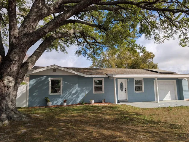 Modern 3/2 w/ Large Fenced Yard