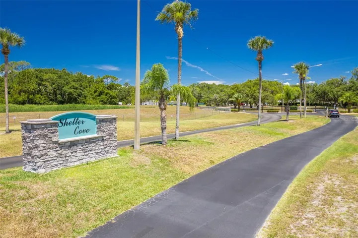 Welcome to Shelter Cove!