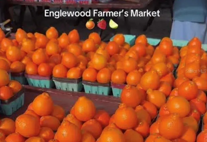 Farmers Markets