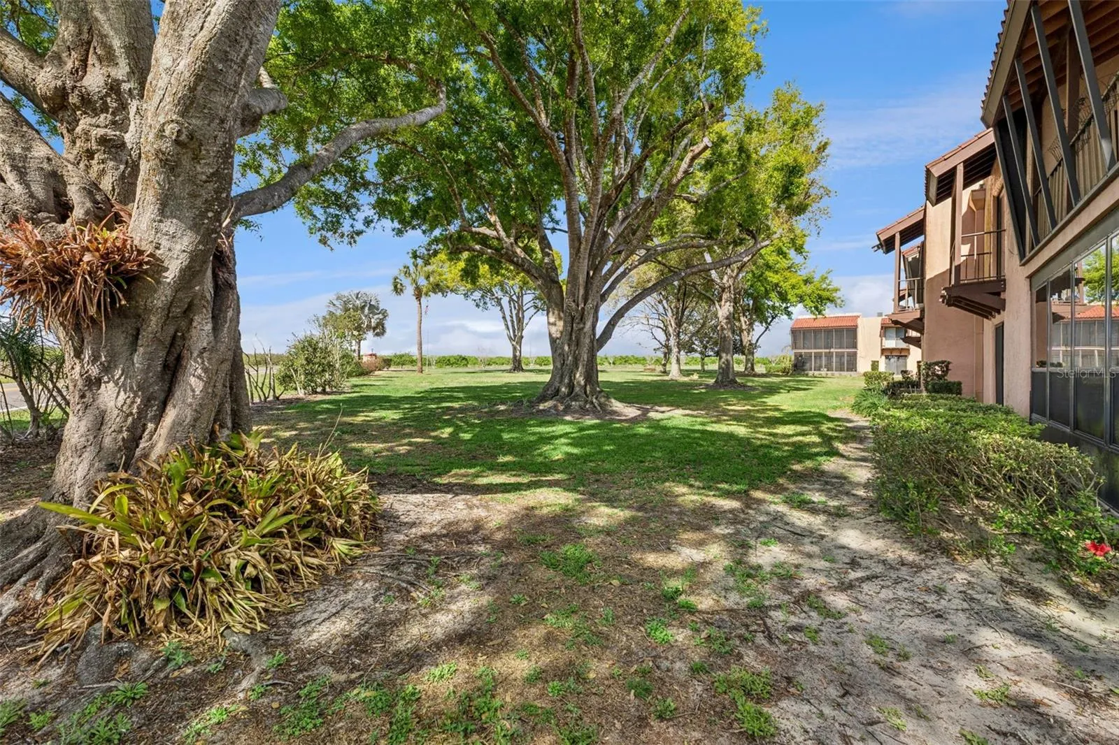 Condominium grounds with beautiful oak trees