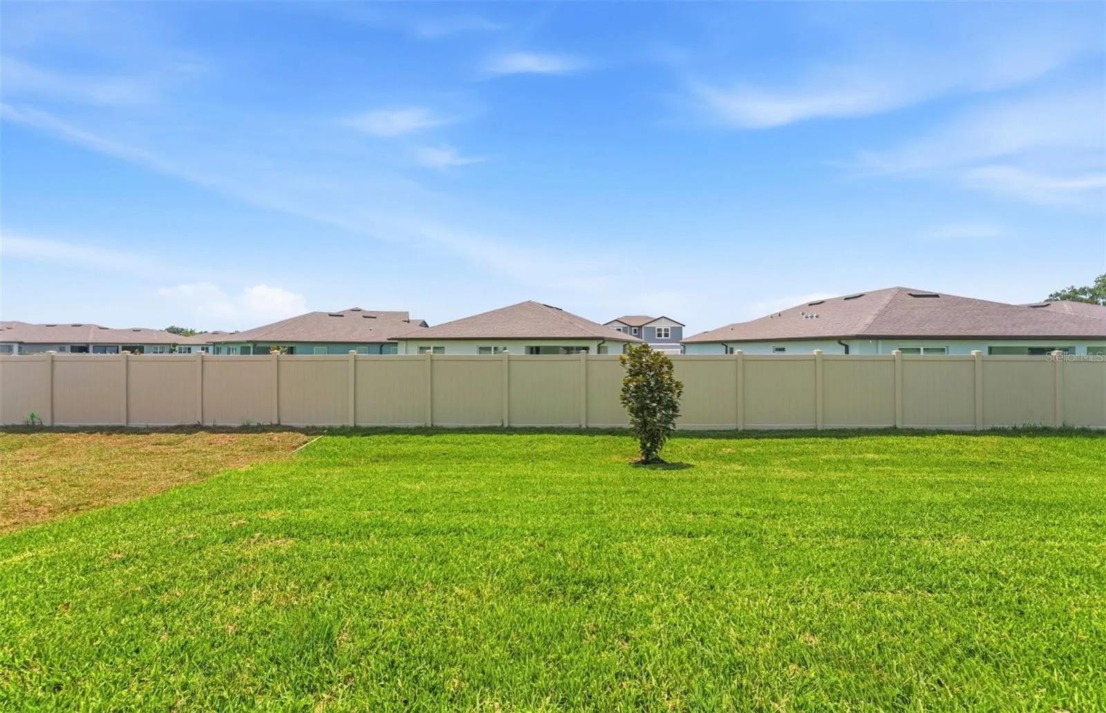 Spacious Backyard