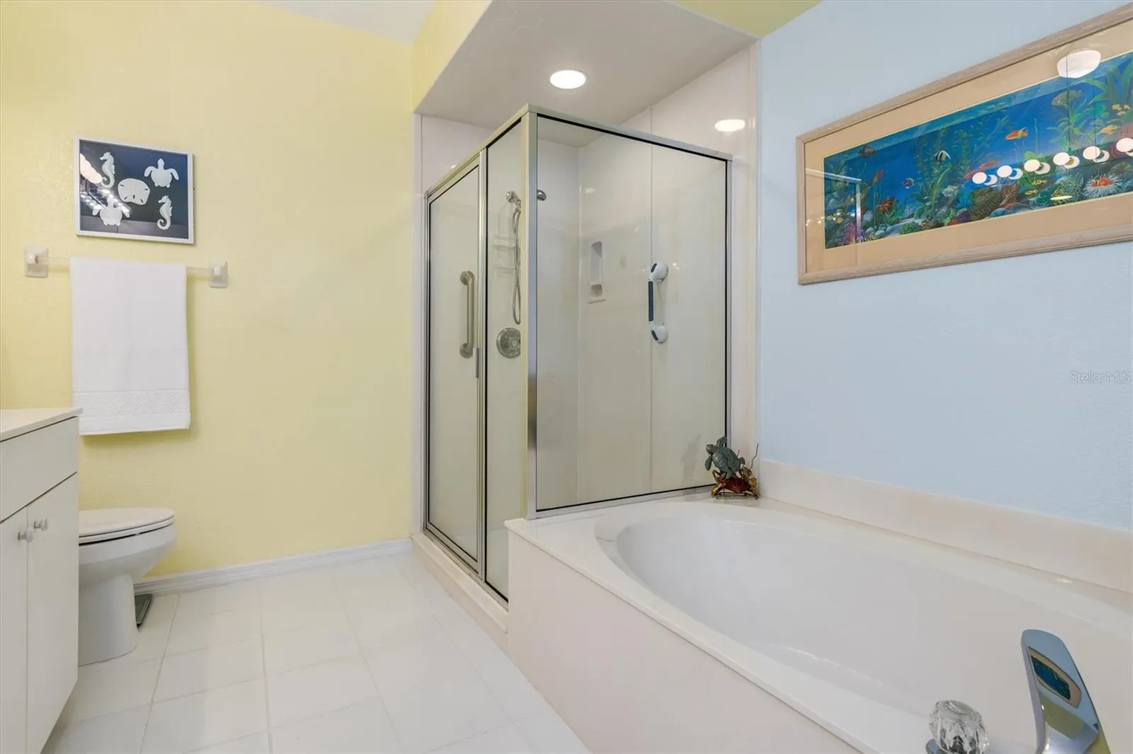 Walk-in shower and tub