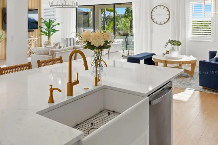 Beautiful under-mount porcelain Farm House Sink with brushed gold RO water system spout