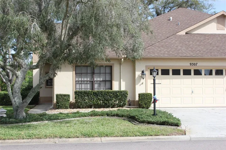 front elevation