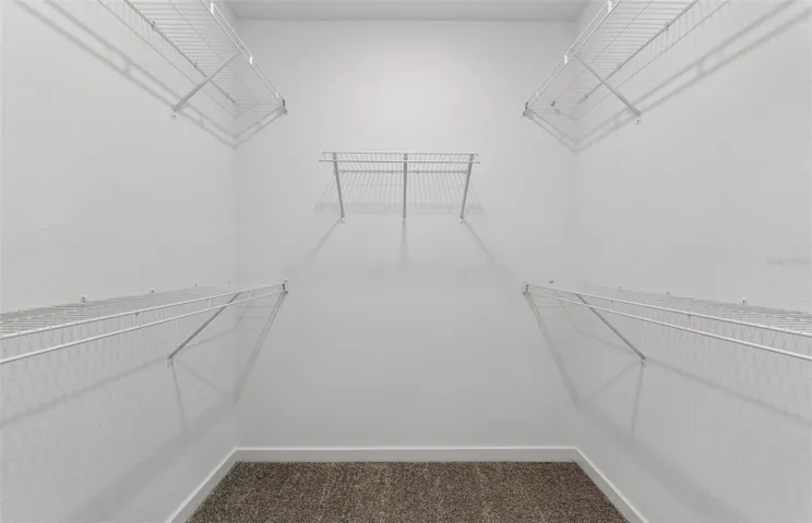 Model Representation