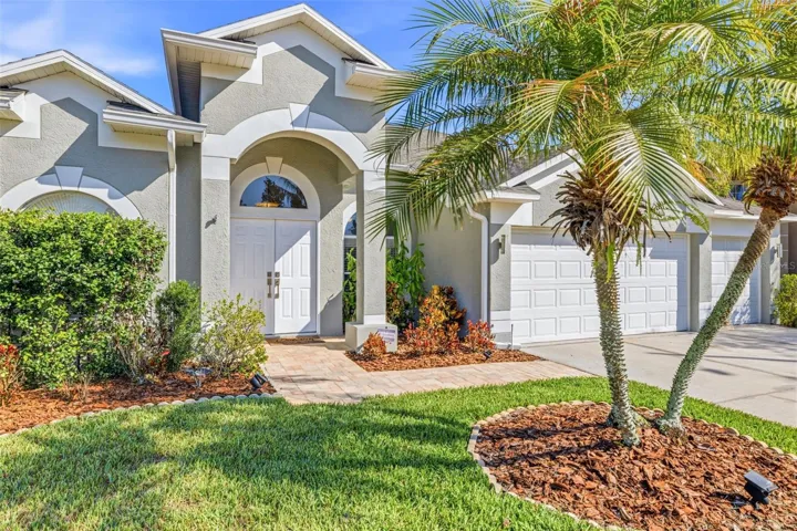 Tropical Landscaping