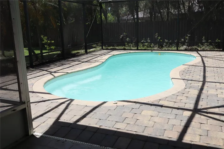 Pool From Patio