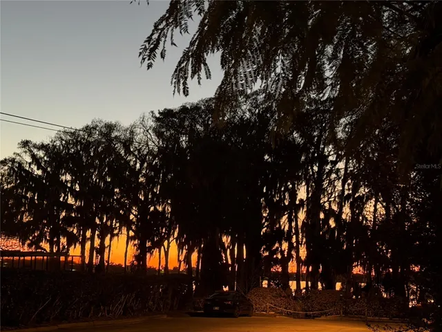 View of Lake Eustis from Yard