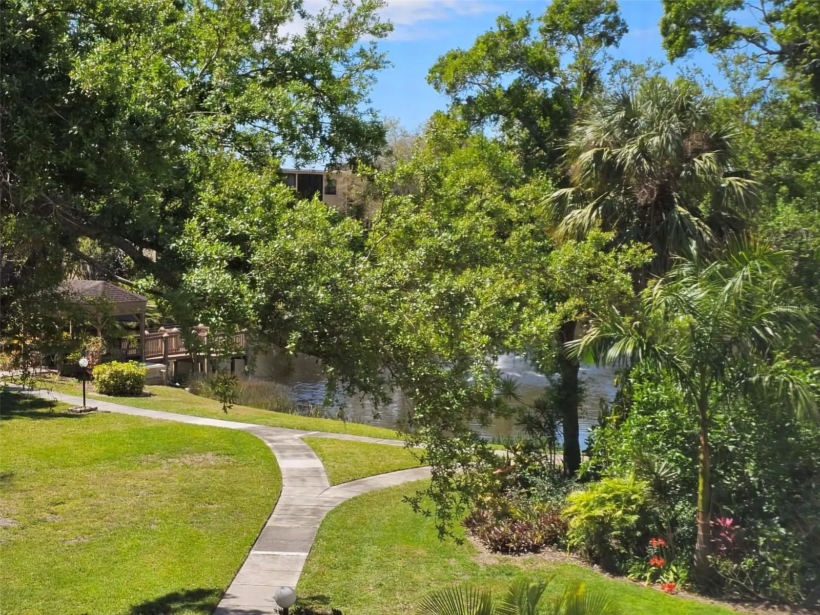 View from Porch