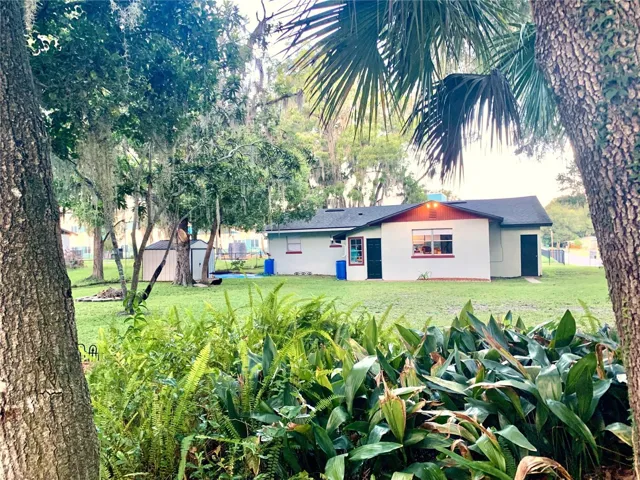 Back yard view