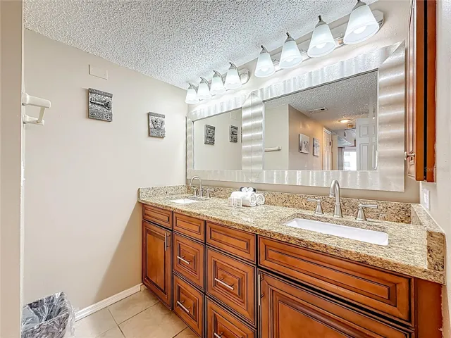 Plenty of Light in Primary Bathroom!