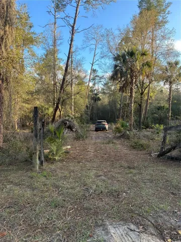 property from the road