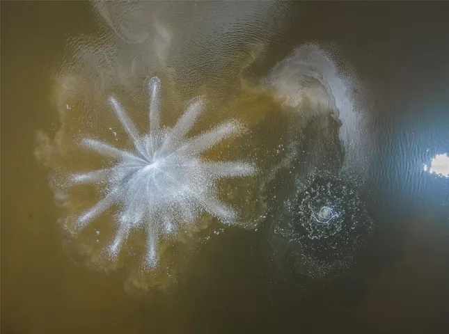 1170