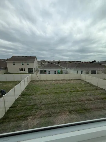 backyard1