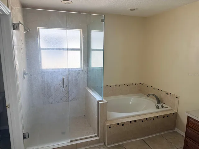 Tub and shower in primary bath