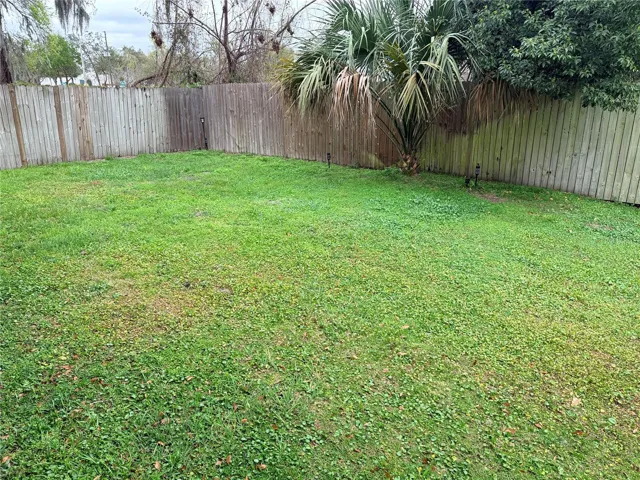 back yard