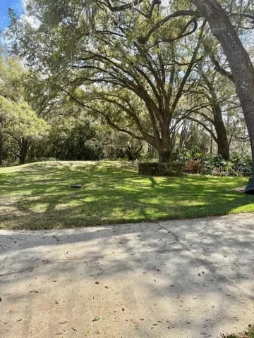 front yard