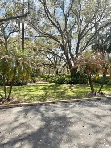 front yard