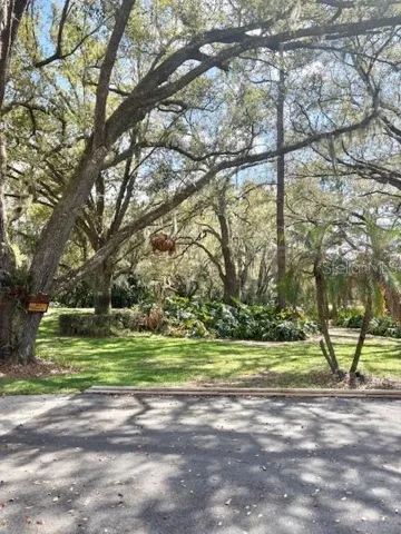 front yard