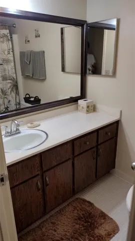 Owners bath