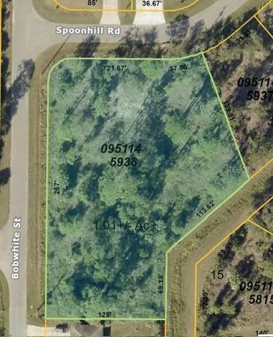 Aerial view showing boundary lines.