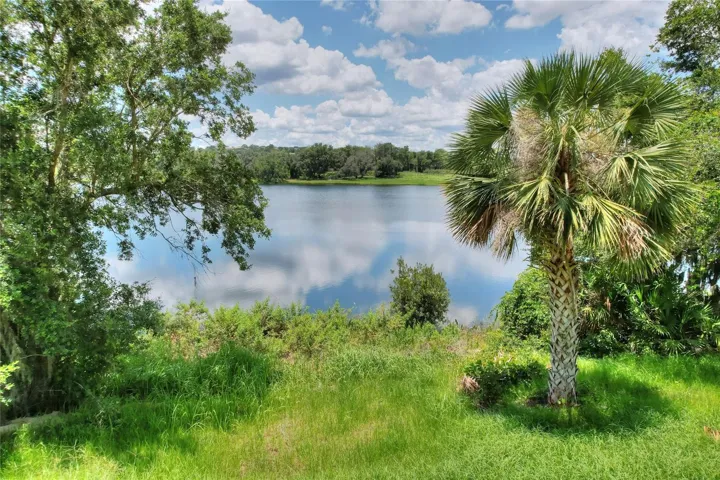 View from Lot 4