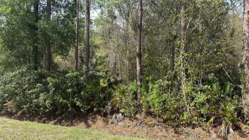 Facing it from the road