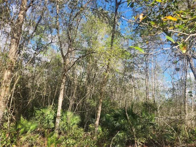 There is 155x100 feet of land passed the fence in back with walking trails, nature and good for just meditation