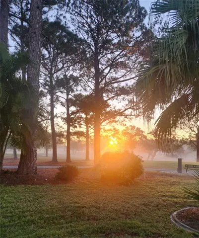 See amazing sunsets every night right from the house