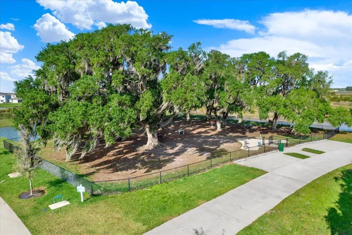 Bark Park