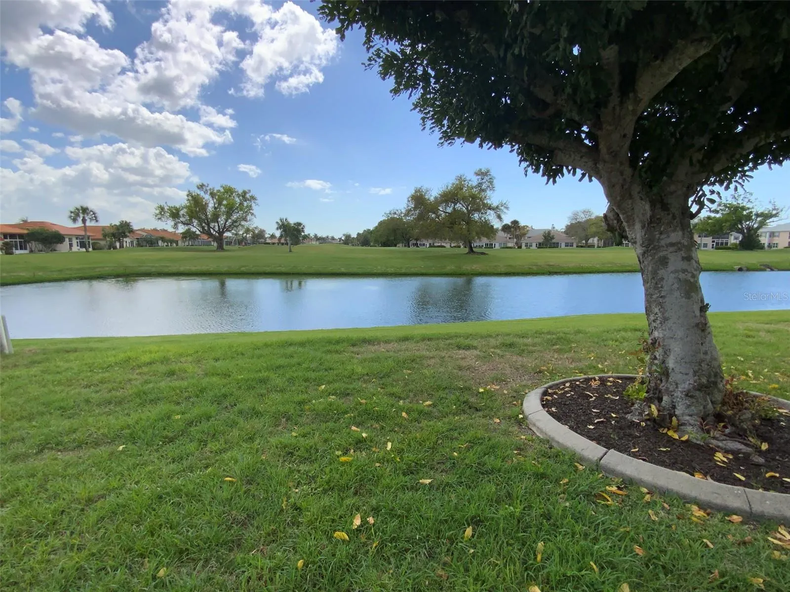 Lake View and Fairway 6