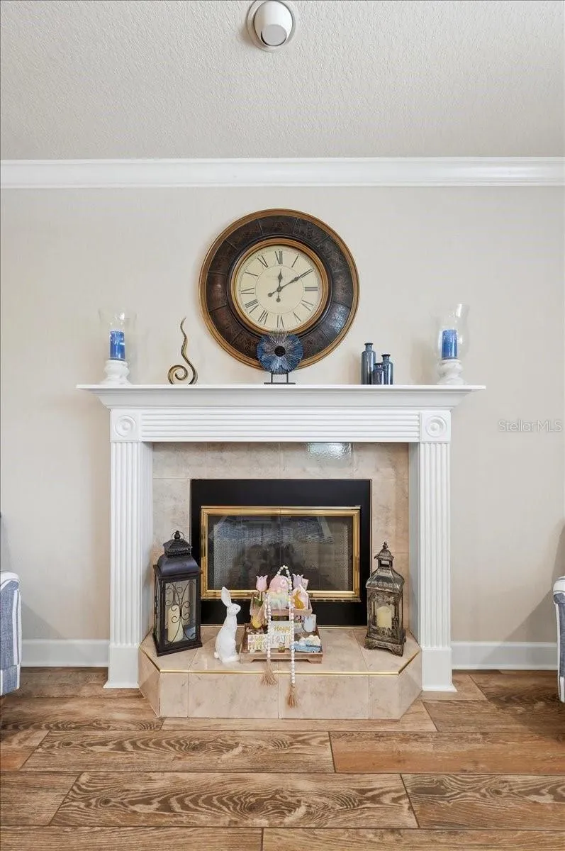 Living Room Fireplace
