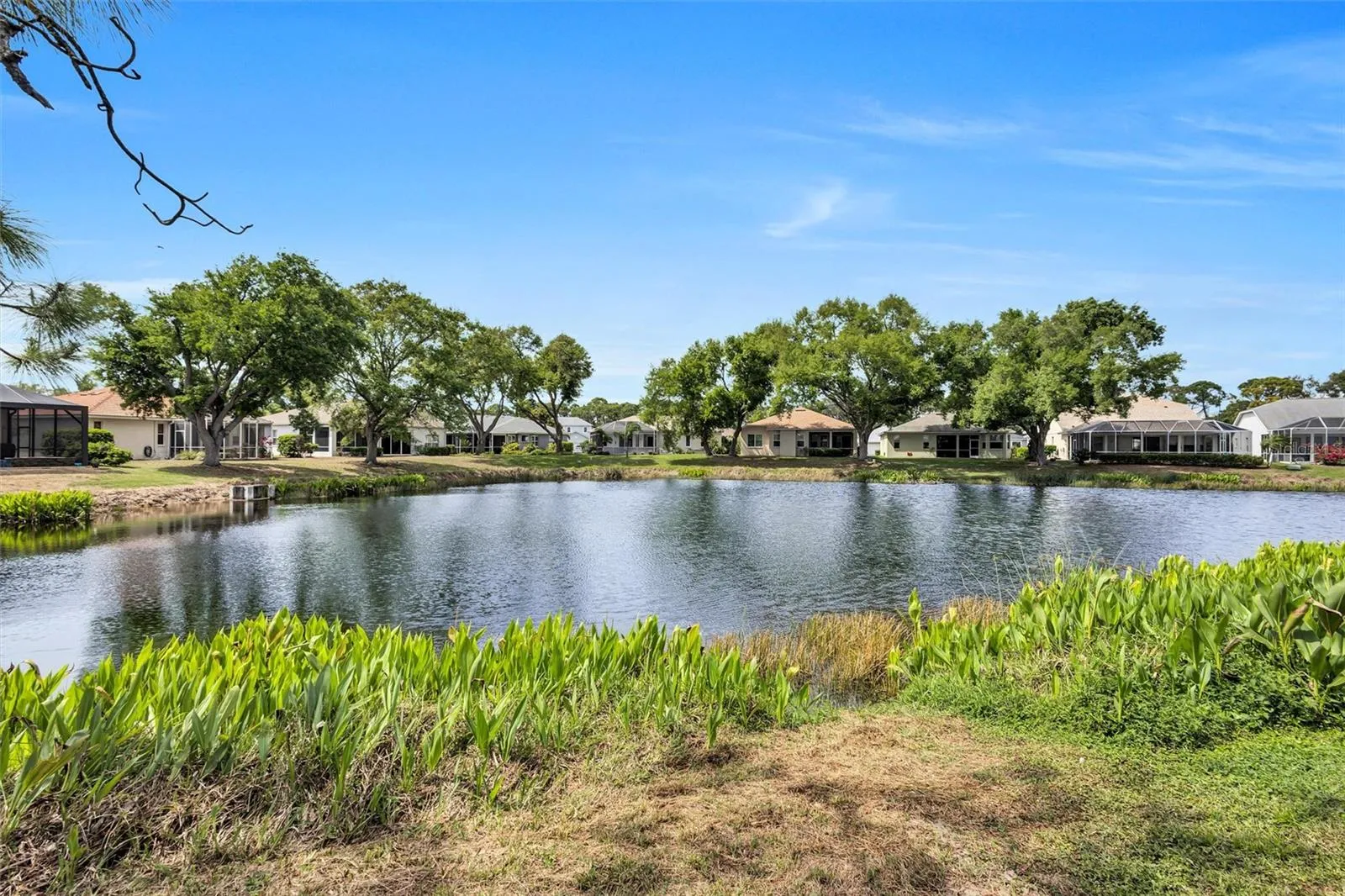 Lake View