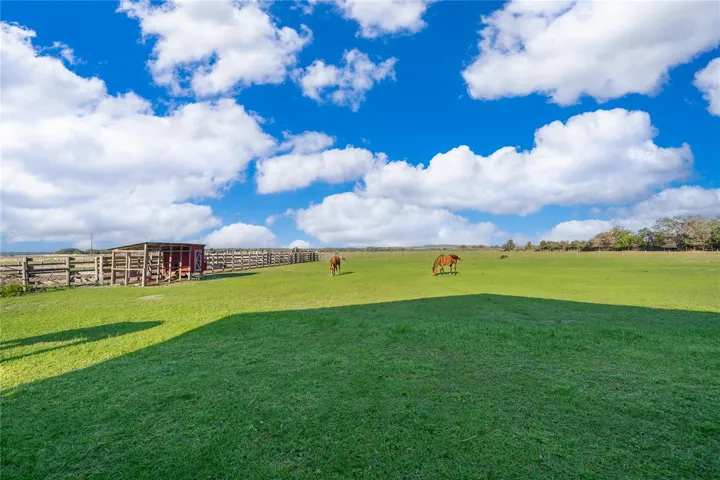Rear Pasture