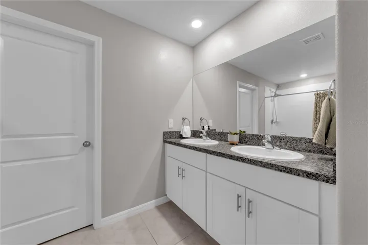 Primary bathroom