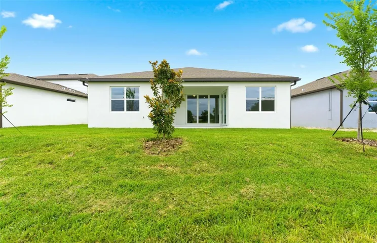 Spacious Backyard