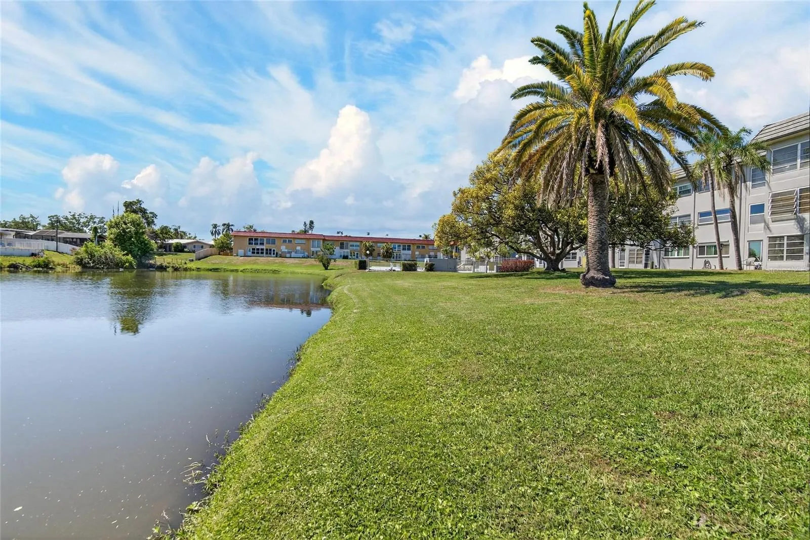 Pond View