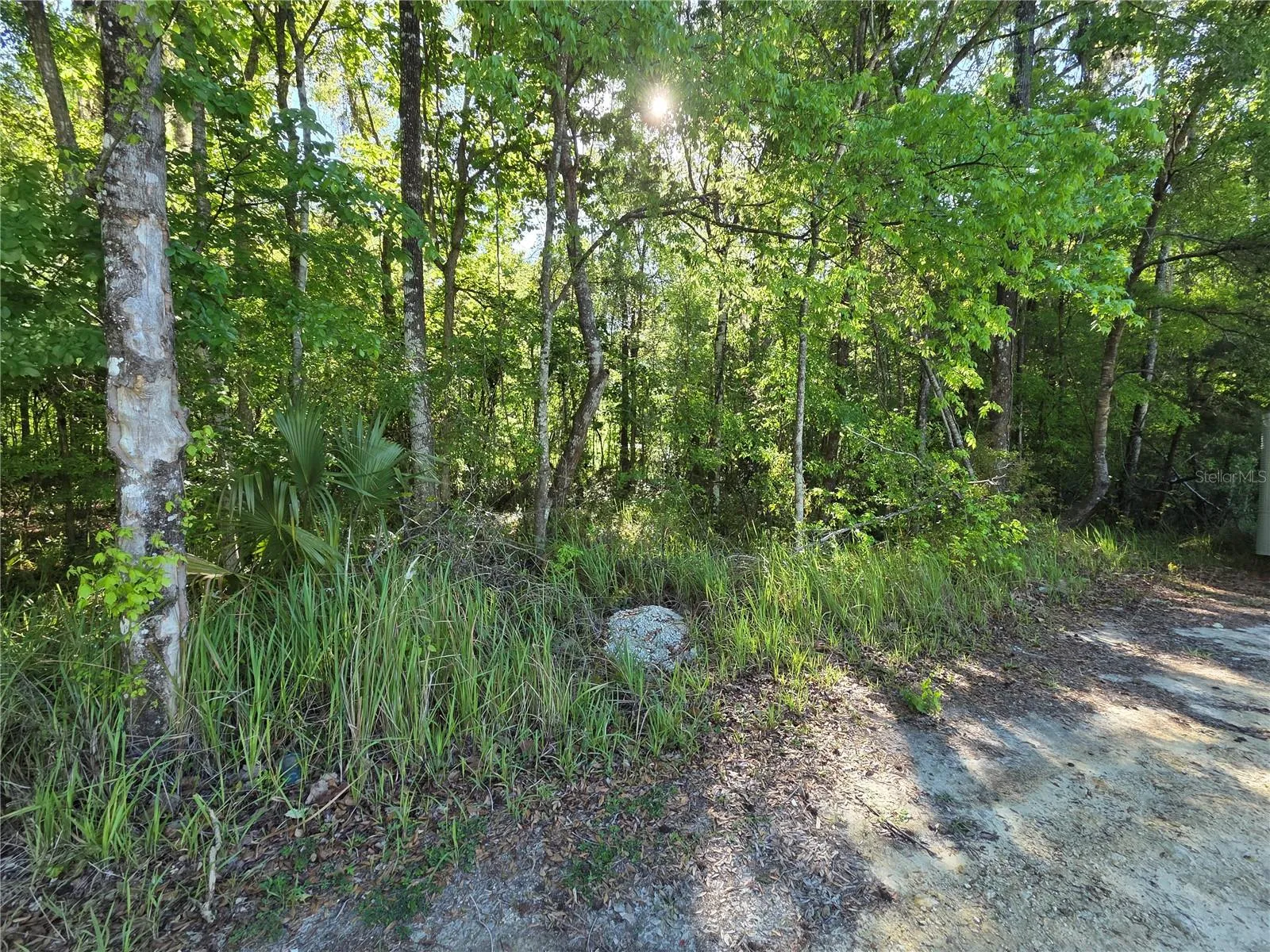 .33 Acre Lot