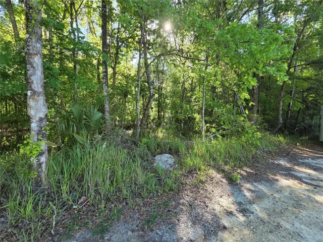 .33 Acre Lot
