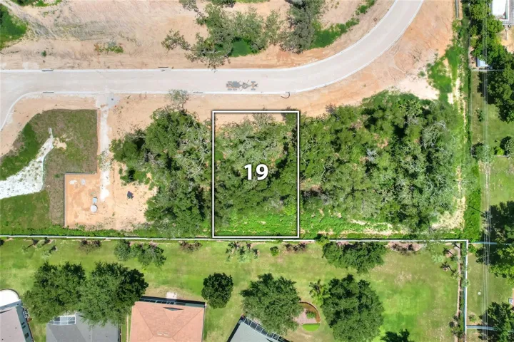 Lot 19