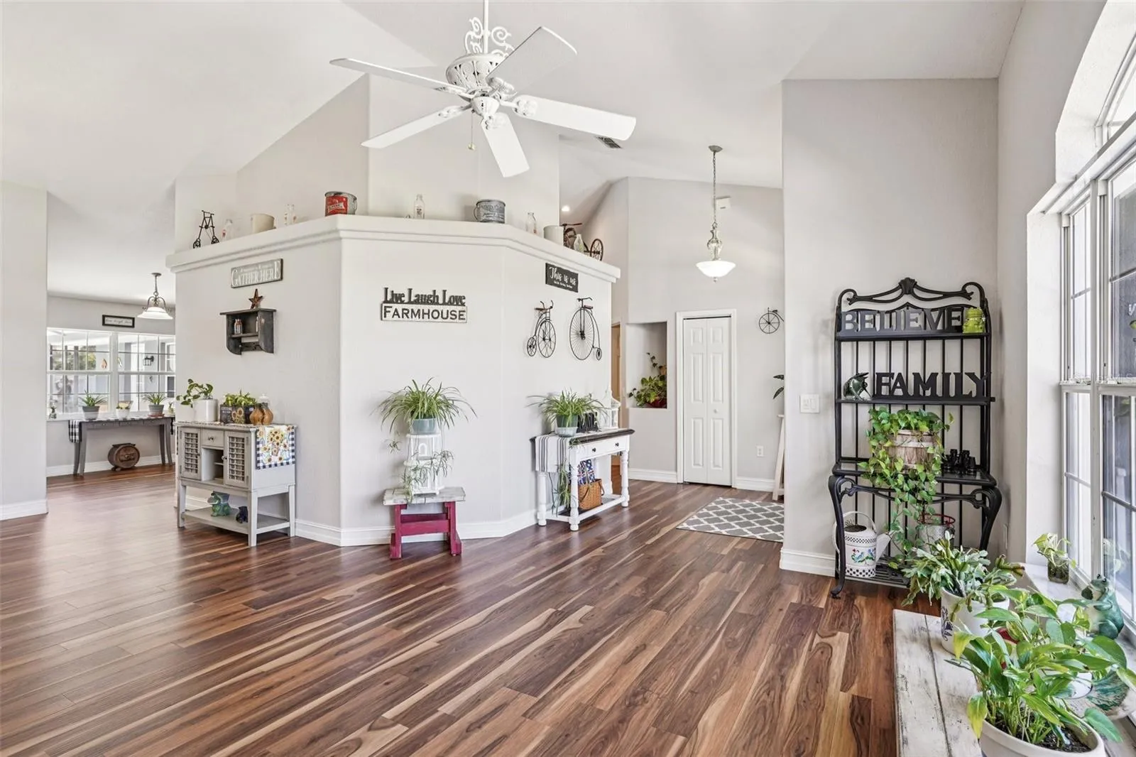Living room and entrance