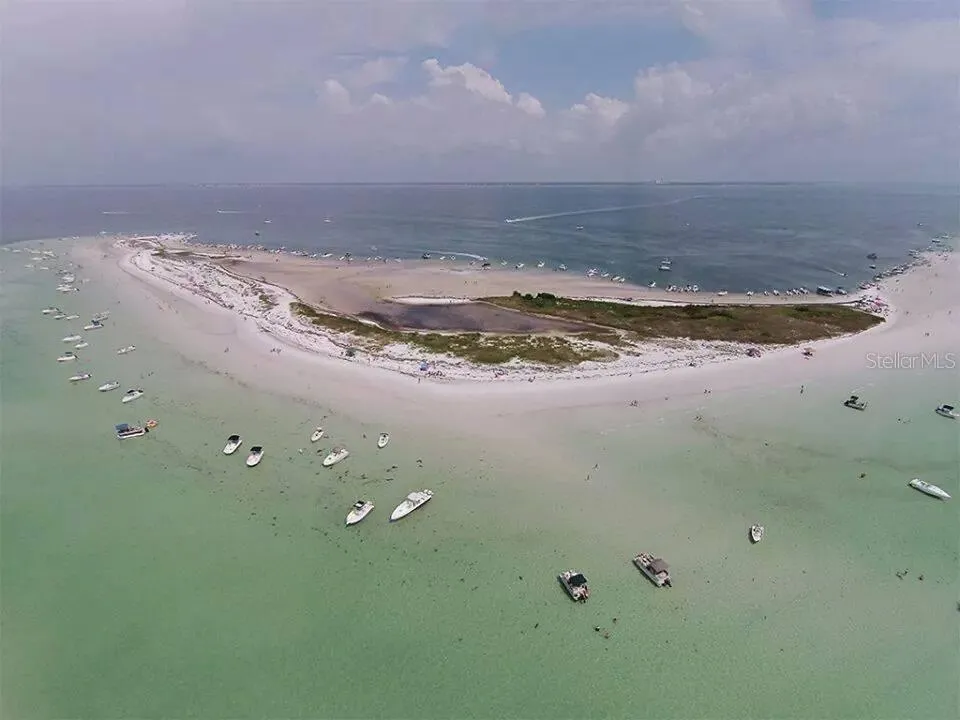 sandbar by Anclote Key