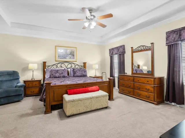 Primary bedroom with tray ceiling
