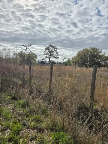 North Border of Property facing east