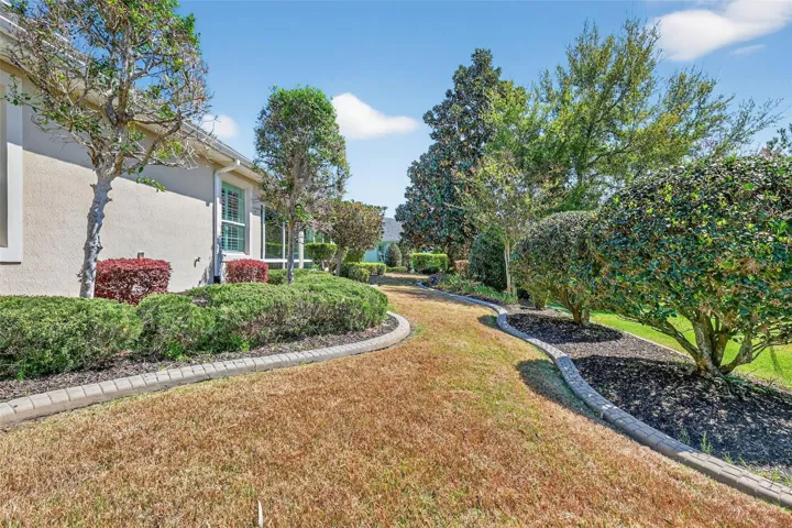 Rear Privacy Landscaping