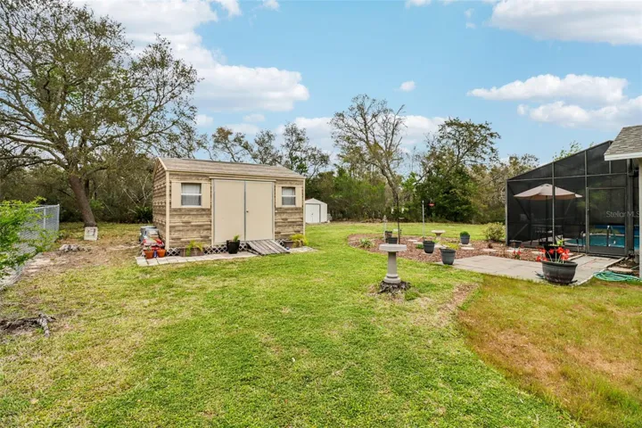 Backyard Shed