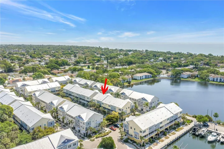 Aerial view with Tampa Bay in the background