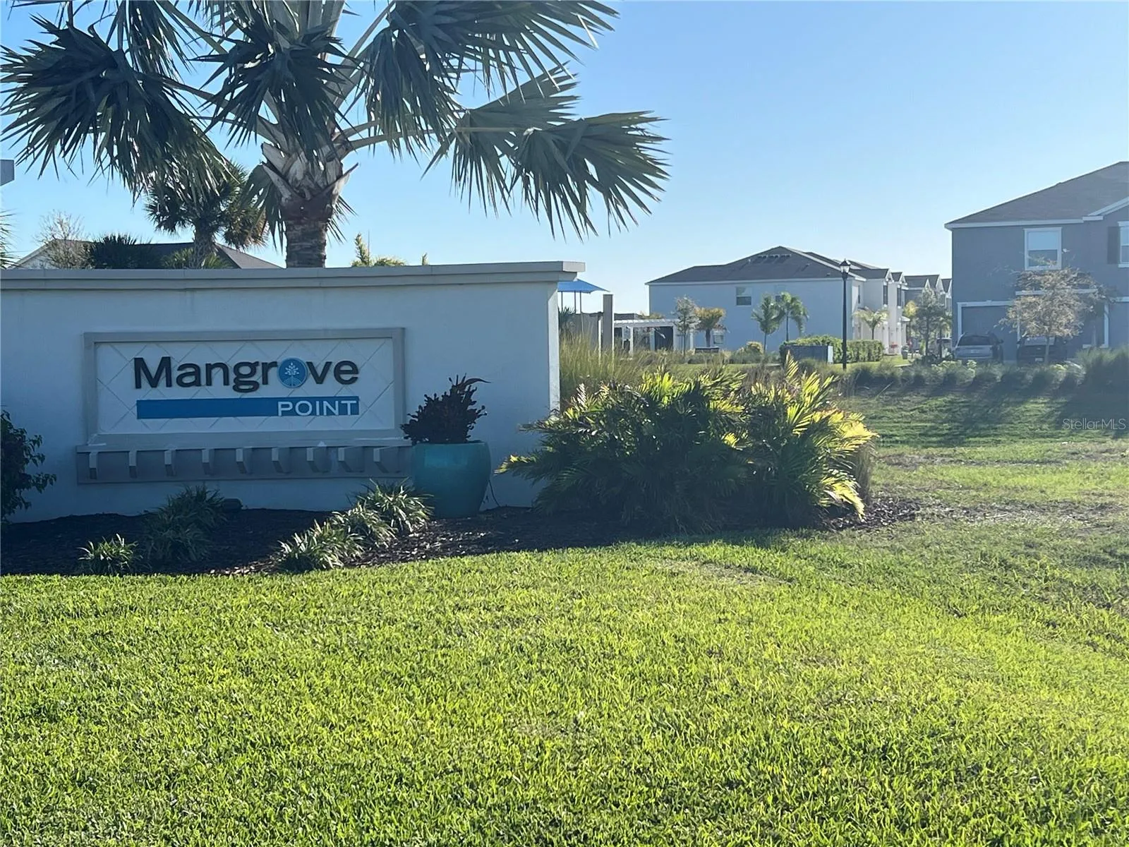 Mongrove Point
