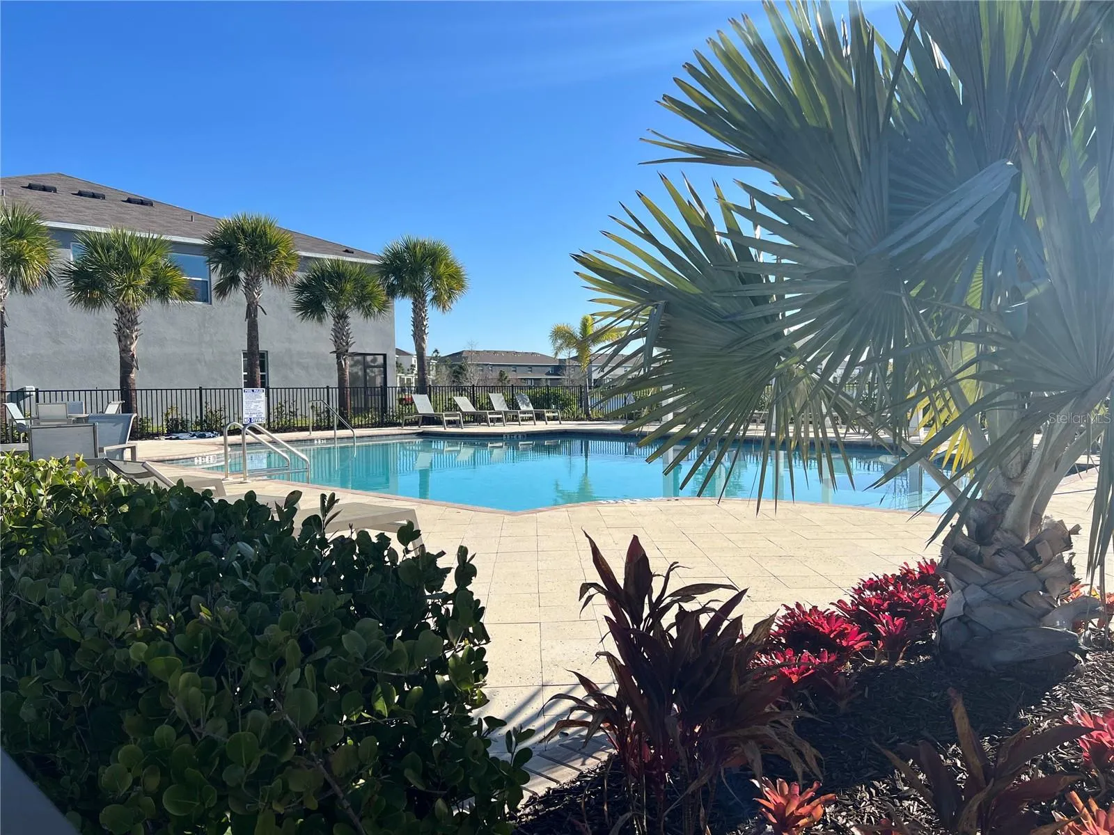 Beautiful Pool Area